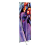 Event Display Engry-efficient Roll Up Banner
